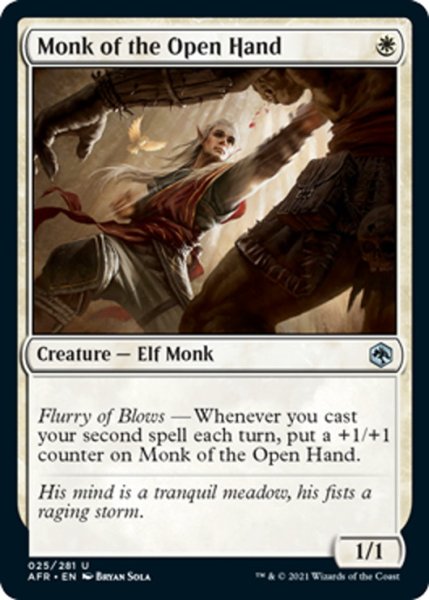 画像1: 【ENG】素拳のモンク/Monk of the Open Hand[MTG_AFR_025U] (1)