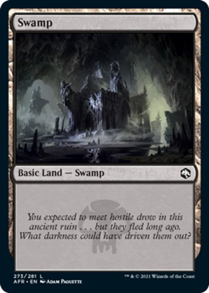 画像1: 【ENG】沼/Swamp[MTG_AFR_273L] (1)