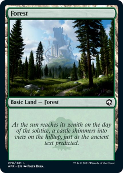 画像1: 【ENG】森/Forest[MTG_AFR_278L] (1)