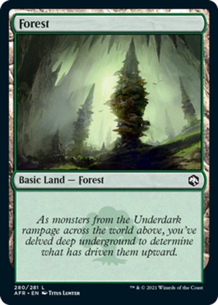 画像1: 【ENG】森/Forest[MTG_AFR_280L] (1)