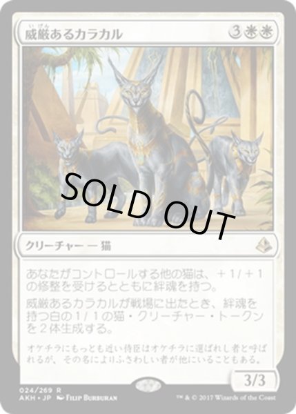 画像1: 【JPN】威厳あるカラカル/Regal Caracal[AKH_024R] (1)