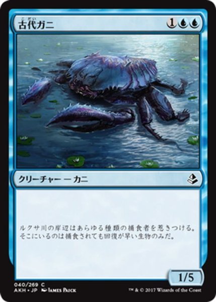 画像1: 【JPN】古代ガニ/Ancient Crab[AKH_040C] (1)