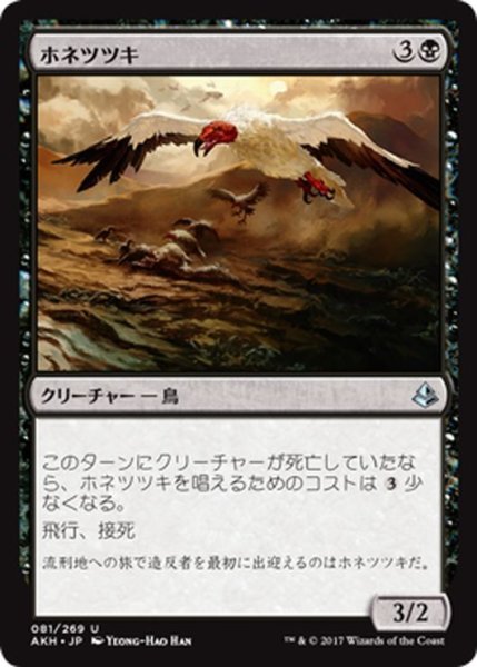 画像1: 【JPN】ホネツツキ/Bone Picker[AKH_081U] (1)