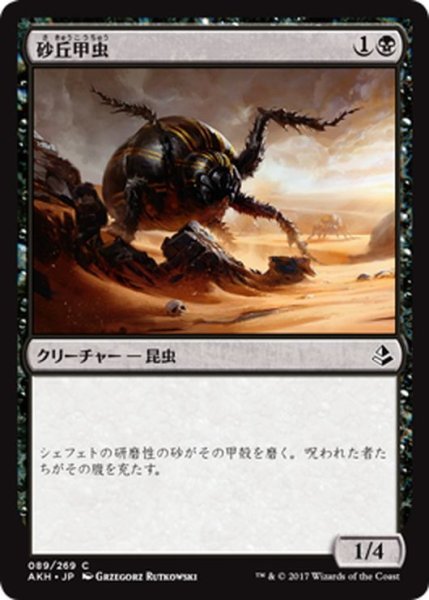 画像1: 【JPN】砂丘甲虫/Dune Beetle[AKH_089C] (1)