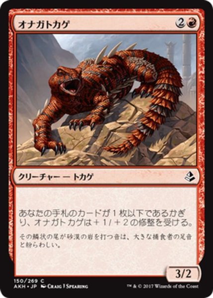 画像1: 【JPN】オナガトカゲ/Thresher Lizard[AKH_150C] (1)