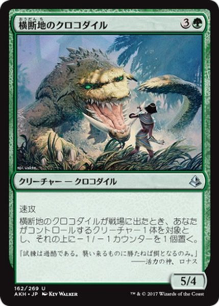 画像1: 【JPN】横断地のクロコダイル/Crocodile of the Crossing[AKH_162U] (1)