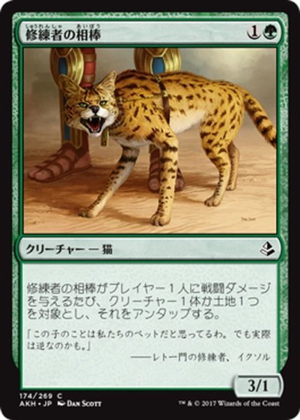 画像1: 【JPN】修練者の相棒/Initiate’s Companion[AKH_174C] (1)