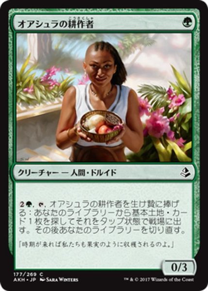 画像1: 【JPN】オアシュラの耕作者/Oashra Cultivator[AKH_177C] (1)