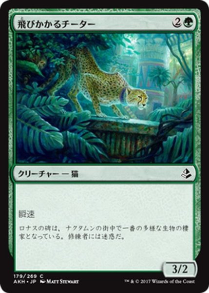 画像1: 【JPN】飛びかかるチーター/Pouncing Cheetah[AKH_179C] (1)