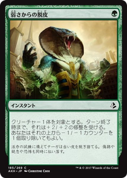 画像1: 【JPN】弱さからの脱皮/Shed Weakness[AKH_185C] (1)