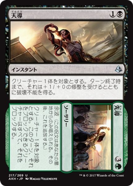 画像1: 【JPN】天導+先導/Destined+Lead[AKH_217U] (1)