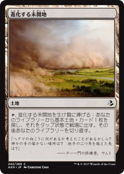 画像1: 【JPN】進化する未開地/Evolving Wilds[AKH_242C] (1)