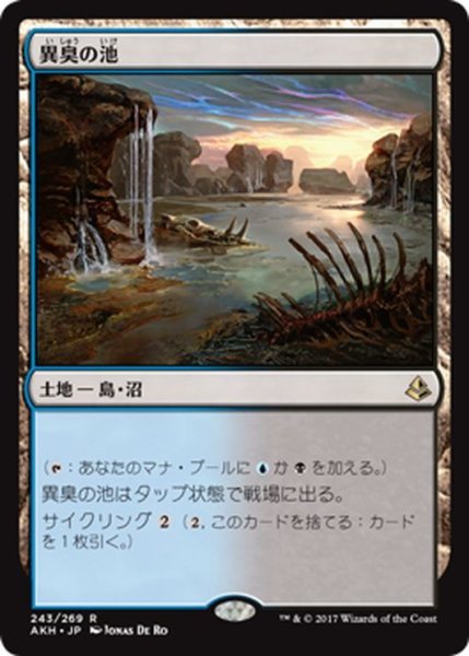 画像1: 【JPN】異臭の池/Fetid Pools[AKH_243R] (1)