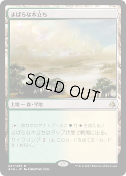 画像1: 【JPN】まばらな木立ち/Scattered Groves[AKH_247R] (1)