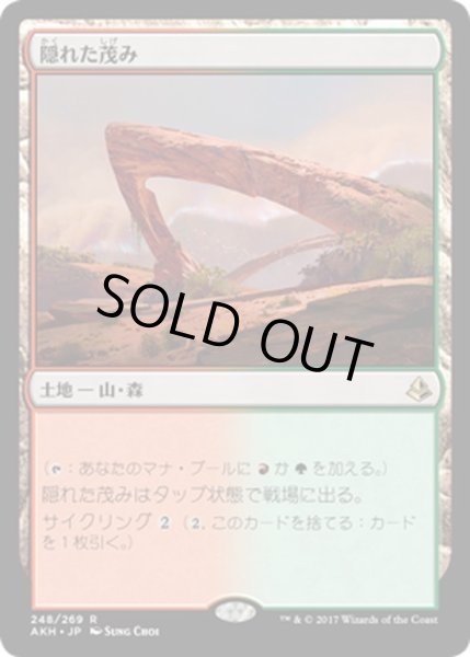 画像1: 【JPN】隠れた茂み/Sheltered Thicket[AKH_248R] (1)