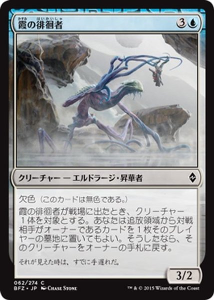 画像1: 【JPN】霞の徘徊者/Murk Strider[MTG_BFZ_062C] (1)