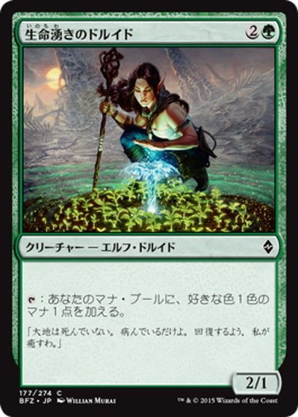 画像1: 【JPN】生命湧きのドルイド/Lifespring Druid[MTG_BFZ_177C] (1)