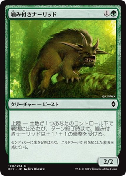 画像1: 【JPN】噛み付きナーリッド/Snapping Gnarlid[MTG_BFZ_190C] (1)