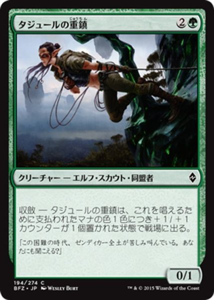 画像1: 【JPN】タジュールの重鎮/Tajuru Stalwart[MTG_BFZ_194C] (1)