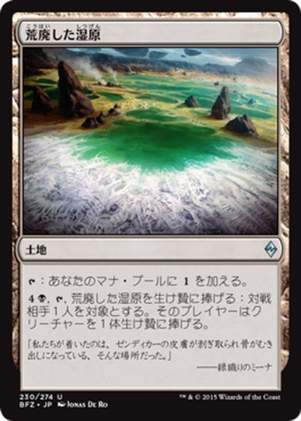 画像1: 【JPN】荒廃した湿原/Blighted Fen[MTG_BFZ_230U] (1)