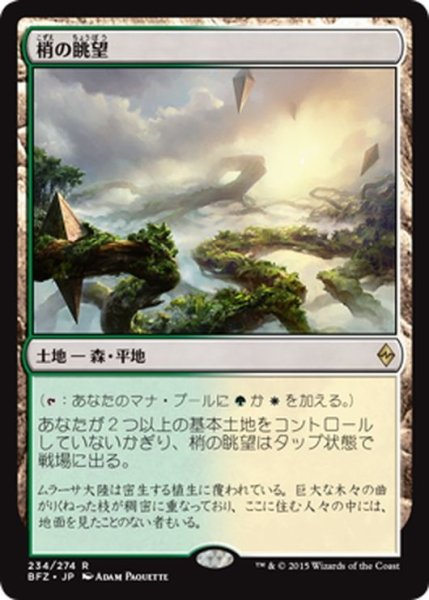 画像1: 【JPN】梢の眺望/Canopy Vista[MTG_BFZ_234R] (1)