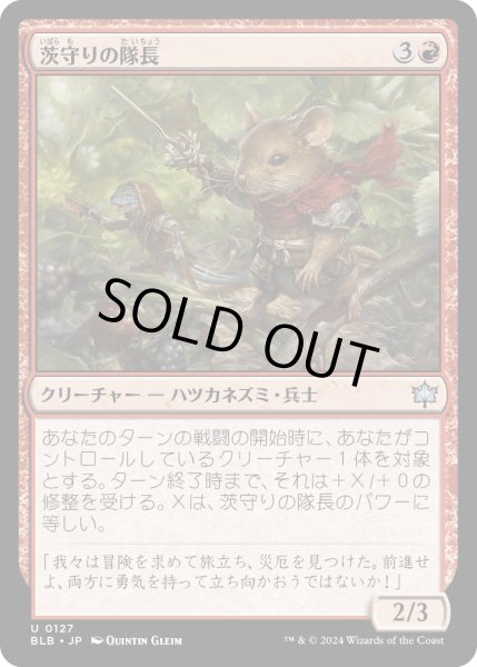 画像1: 【JPN】茨守りの隊長/Brambleguard Captain [MTG_BLB_0127_U] (1)