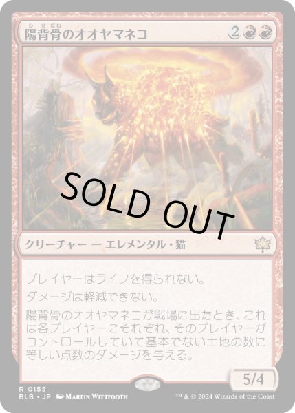 画像1: 【JPN】陽背骨のオオヤマネコ/Sunspine Lynx [MTG_BLB_0155_R] (1)