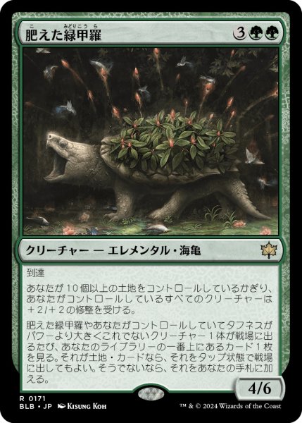 画像1: 【JPN】肥えた緑甲羅/Fecund Greenshell [MTG_BLB_0171_R] (1)