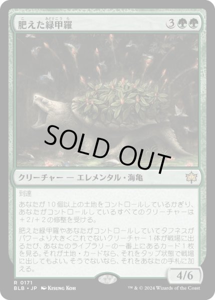 画像1: 【JPN】肥えた緑甲羅/Fecund Greenshell [MTG_BLB_0171_R] (1)