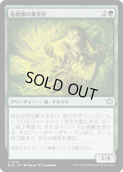 画像1: 【JPN】危険根の薬草医/Hazardroot Herbalist [MTG_BLB_0174_U] (1)