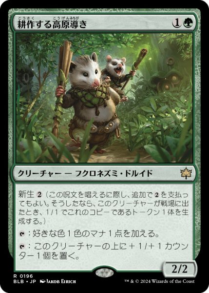 画像1: 【JPN】耕作する高原導き/Tender Wildguide [MTG_BLB_0196_R] (1)