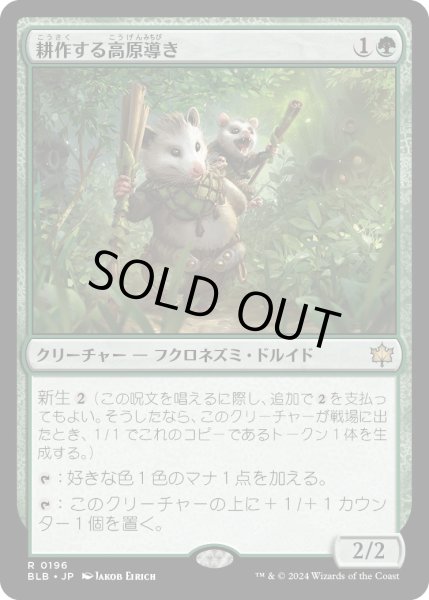 画像1: 【JPN】耕作する高原導き/Tender Wildguide [MTG_BLB_0196_R] (1)