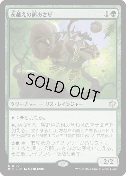 画像1: 【JPN】茨越えの餌あさり/Thornvault Forager [MTG_BLB_0197_R] (1)