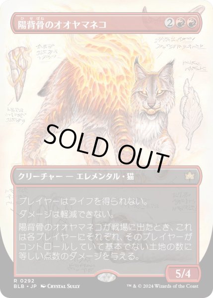 画像1: 【JPN】■ボーダーレス■陽背骨のオオヤマネコ/Sunspine Lynx [MTG_BLB_0292_R] (1)