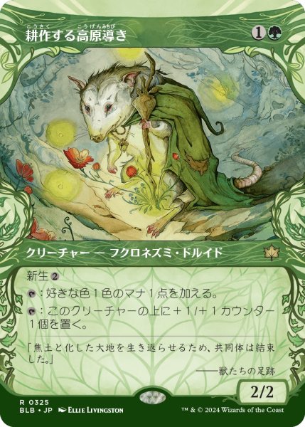 画像1: 【JPN】■ショーケース■耕作する高原導き/Tender Wildguide [MTG_BLB_0325_R] (1)