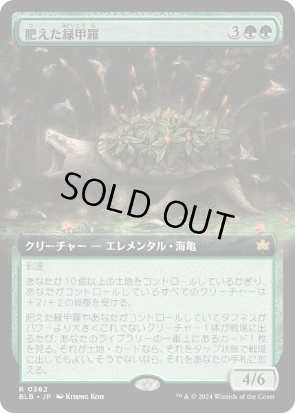 画像1: 【JPN】■拡張アート■肥えた緑甲羅/Fecund Greenshell [MTG_BLB_0362_R] (1)