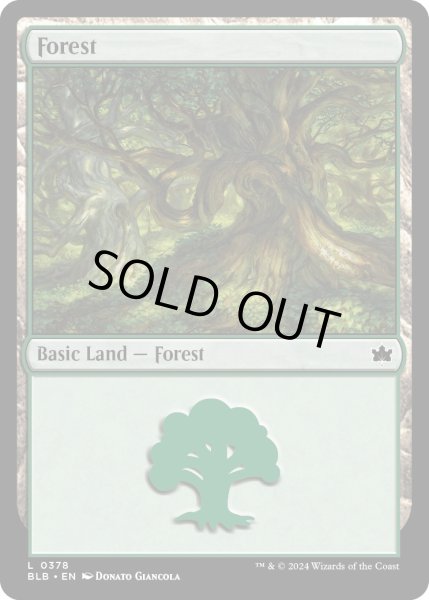 画像1: 【ENG】森/Forest[MTG_BLB_0378_L] (1)