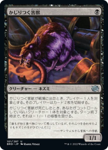 画像1: 【JPN】かじりつく害獣/Gnawing Vermin[MTG_BRO_101U] (1)