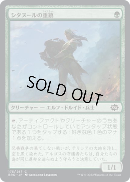 画像1: 【JPN】シタヌールの重鎮/Citanul Stalwart[MTG_BRO_175C] (1)