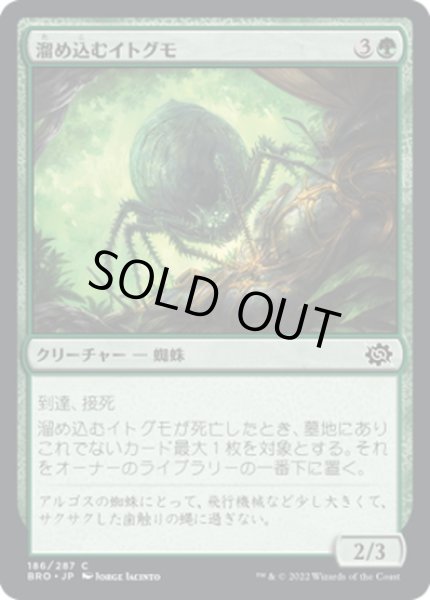 画像1: 【JPN】溜め込むイトグモ/Hoarding Recluse[MTG_BRO_186C] (1)