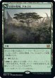 画像1: 【JPN】自然の聖域、アルゴス/Argoth, Sanctum of Nature//ガイアの具現、ティタニア/Titania, Gaea Incarnate[MTG_BRO_256R] (1)