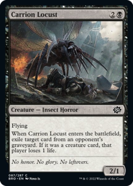 画像1: 【ENG】屍肉蝗/Carrion Locust[MTG_BRO_087C] (1)