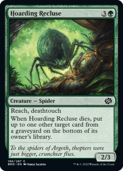 画像1: 【ENG】溜め込むイトグモ/Hoarding Recluse[MTG_BRO_186C] (1)