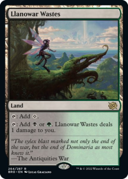 画像1: 【ENG】ラノワールの荒原/Llanowar Wastes[MTG_BRO_264R] (1)