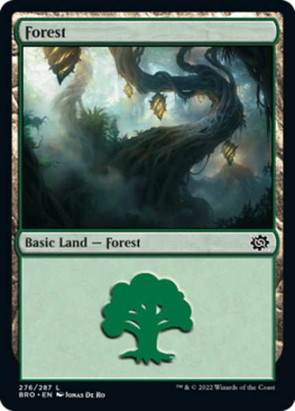 画像1: 【ENG】森/Forest[MTG_BRO_276L] (1)