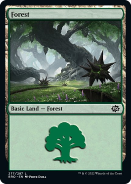 画像1: 【ENG】森/Forest[MTG_BRO_277L] (1)