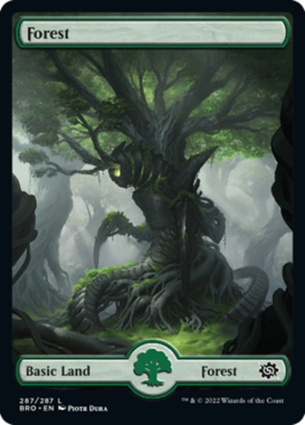 画像1: 【ENG】森/Forest[MTG_BRO_287L] (1)