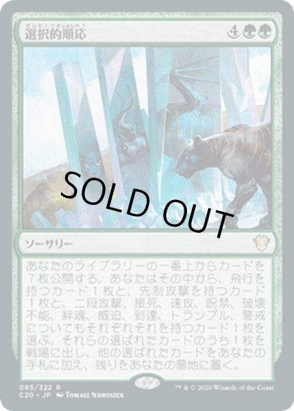 画像1: 【JPN】選択的順応/Selective Adaptation[MTG_C20_065R] (1)