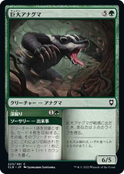 画像1: 【JPN】巨大アナグマ/Colossal Badger[MTG_CLB_223C] (1)