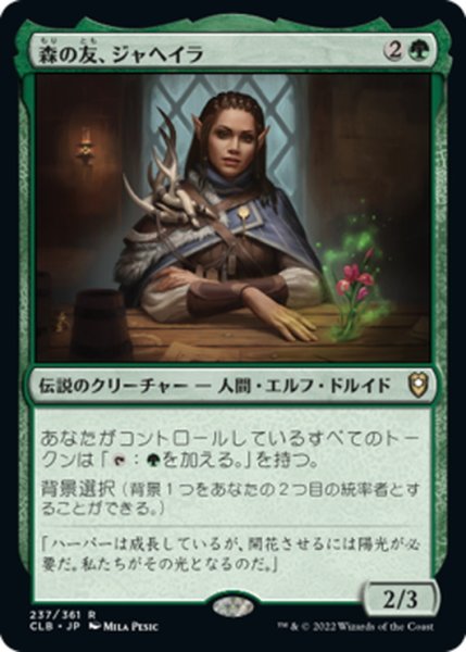 画像1: 【JPN】森の友、ジャヘイラ/Jaheira, Friend of the Forest[MTG_CLB_237R] (1)